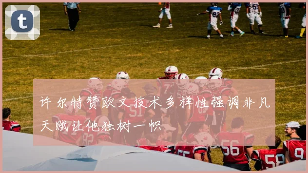 许尔特赞欧文技术多样性强调非凡天赋让他独树一帜