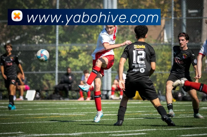 亚博体育服务体系