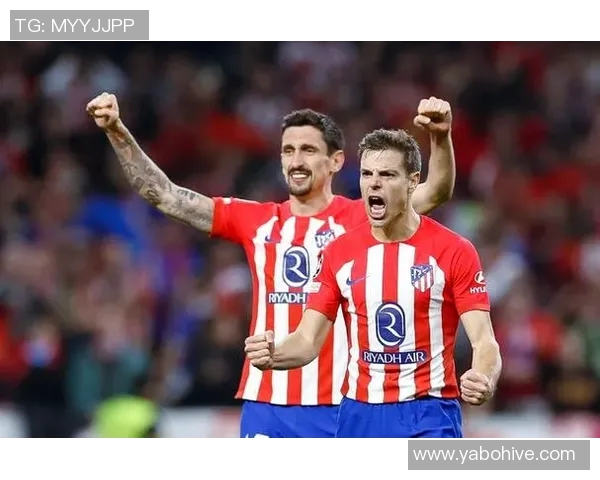 前意甲裁判解析国米点球判罚与帕夫洛维奇黄牌的合理性