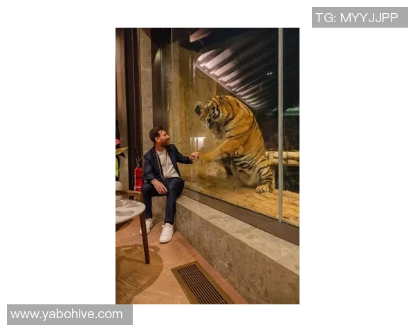 梅西亲临印度野生动物保护中心参与宗教仪式与狮子亲密接触的奇妙体验